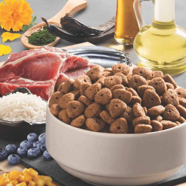 ボナシーボ成犬用ドライフード ラム＆ライス